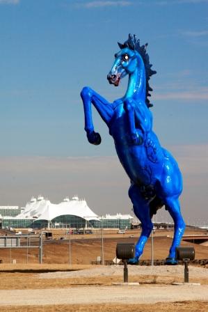 Denver Demon Horse
